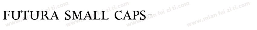 futura small caps字体转换